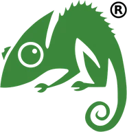 Chameleon Web Services logo