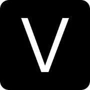 Visionary Marketing logo